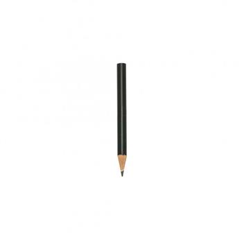 Mini Lápis Ecológico