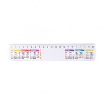 Régua Plástica 20cm