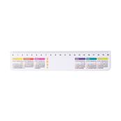 Régua Plástica 20cm