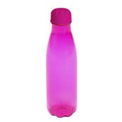 Squeeze Pet 550 ml Com Tampa Plástica