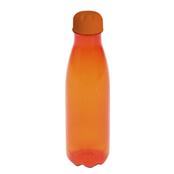 Squeeze Pet 550 ml Com Tampa Plástica