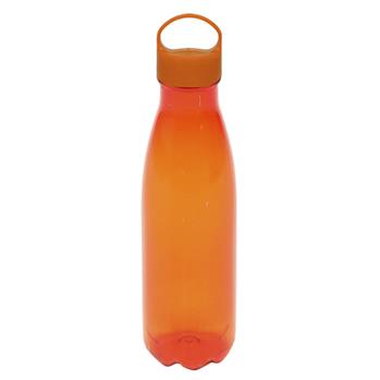 Squeeze Pet 550 ml Com Tampa Pegador