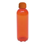 Squeeze Pet 600 ml Com Tampa Plástica