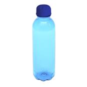 Squeeze Pet 600 ml Com Tampa Plástica