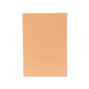 Agenda Diária 2026 - 15117G