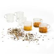 Kit Xícaras de Vidro com Seis Peças - 08295