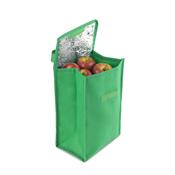 Bolsa Térmica em TNT - BTN201