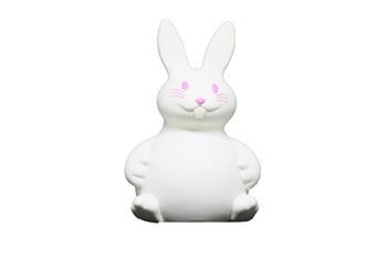 Coelho Cofre Personalizado - MACFCO