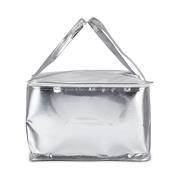 Bolsa de TNT Metalizado - E@19241P