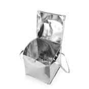 Bolsa TNT Metalizado - E@19242