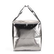 Bolsa TNT Metalizado - E@19242